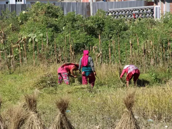 Daily lifestay at village