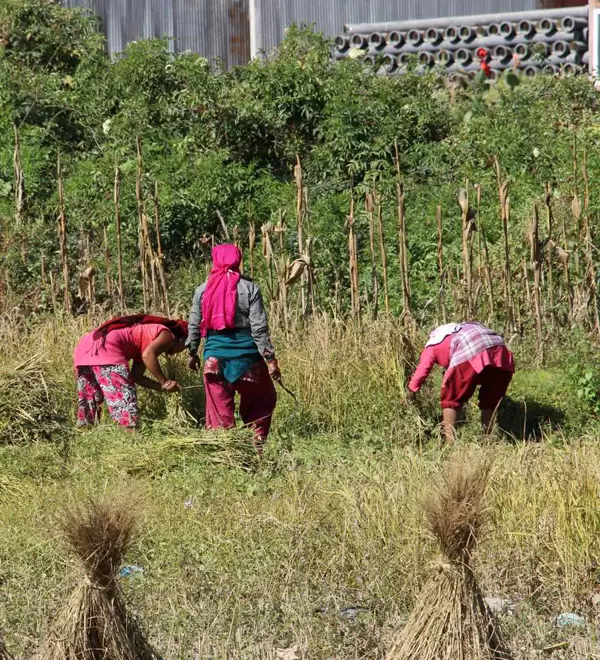 Empower the Local Community
